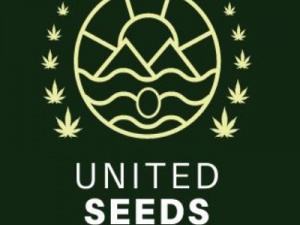 United Cannabis Seeds