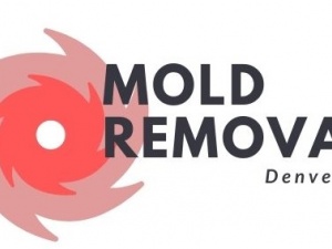 Mold Removal Denver CO