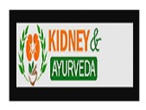 Kidney and Ayurveda