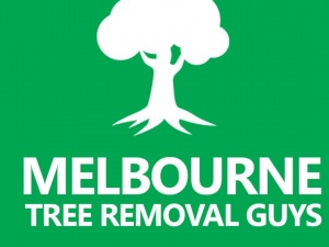 Melbourne Tree Removal Guys 