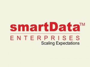 smartData Enterprises Inc