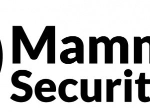 Mammoth Security Inc. New Britain