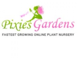  Pixies Gardens - Online Garden Center