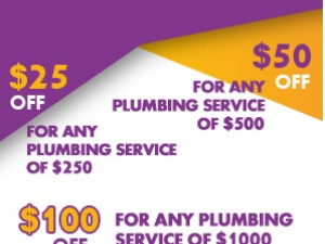 Local Plumbing Repair Houston