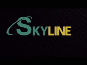 Shaoxing Skyline Import & Export Co., Ltd. 