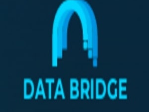Software Product Development Company -  DataBridge