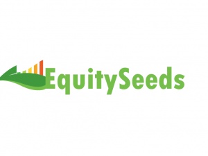 EquitySeeds - Right Choice for Financial Success