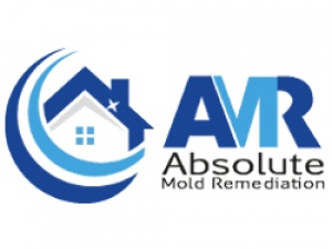 Absolute Mold Remediation Ltd.