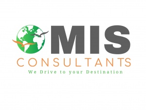 MIS-Consultants