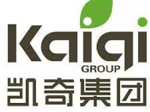 KAIQI Group Co., Ltd.