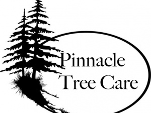 Pinnacle Tree Care