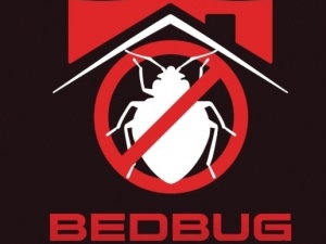 Florida Bedbug Solutions - Tampa