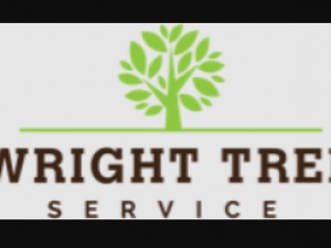 Wright Tree Service in Ottawa 