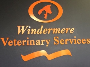 Windermere Veterinary Services