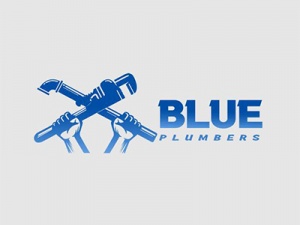 Blue Plumbers