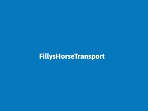  Fillys Horse Transport