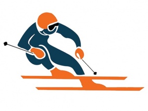 Professional ski school Zell am see-Go2Snow