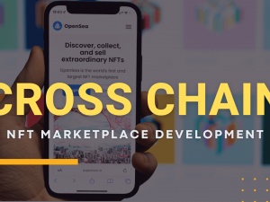 Cross chain NFT Marketplace Development service