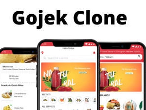 Multi-Service Gojek Clone App Development