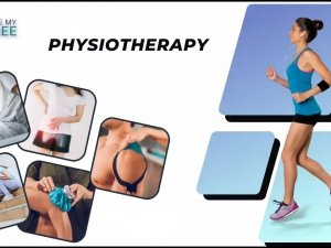 Are You Looking for a Physiotherapist in South Del
