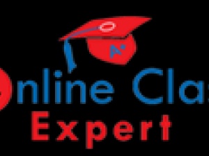 Online Class Experts