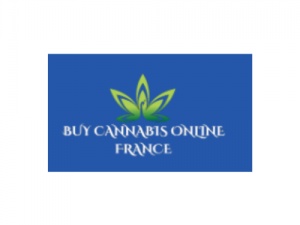 Buy Weed Online Store