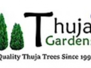 Thuja Gardens