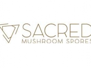 Sacred Mushroom Spores