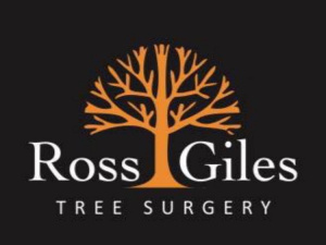 Ross Giles Tree Surgery