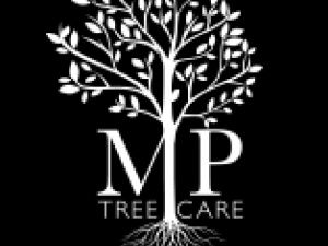 M P Tree Care & Management