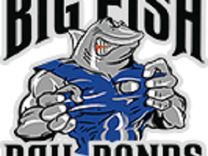 Big Fish Bail Bonds