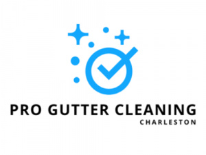 Pro Gutter Cleaning Charleston
