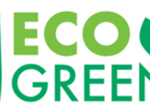 Buy Eco Green Stationery and Gift shopping online