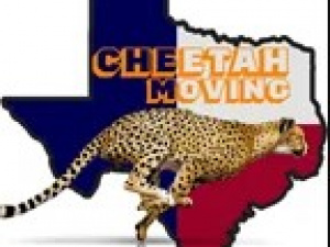 Cheetah Moving DFW