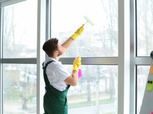 High Park Window Cleaning