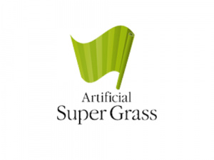 Artificial Super Grass