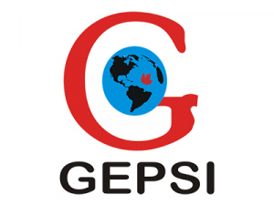 GEPSI Consultancy