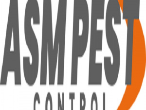 Pest Control in Surrey | Surrey Pest Exterminator