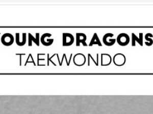Young Dragons Taekwondo
