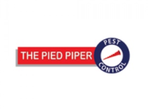 The Pied Piper Pest Control Company Ltd
