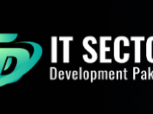 It Sector Development In Pakistan