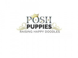 Posh Puppies