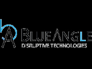  BlueAngle LLC
