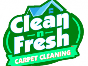 Carpet Cleaning Service FWB
