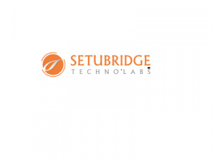 SetuBridge - Ecommerce Development Agency