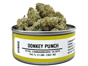 Buy Donkey Punch Online