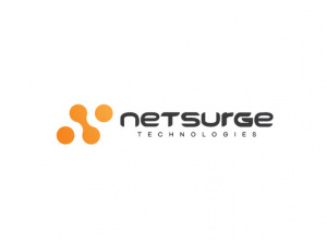 Netsurge Technologies