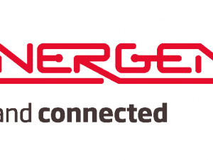 Synergenog