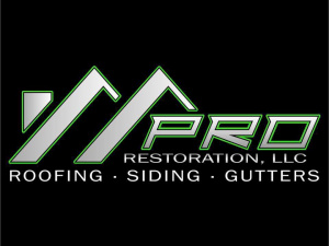 Pro Restoration, LLC, Greenville, WI