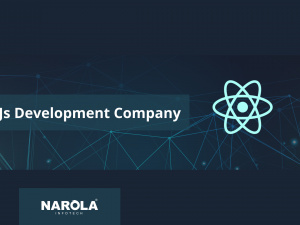 ReactJS Development Company USA